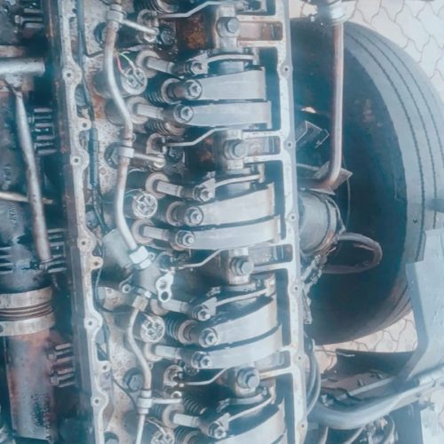 WhatsApp Image 2026-01-06 at 10.08.35